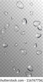 Rain Drops on Transparent Background. Realistic Water Drops for Your Design. Condensation on Glass with many Fresh Droplet. Dew Backdrop. Vector illustration. 