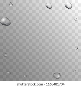 Rain Drops on Transparent Background. Cool Water Drops for Your Design. Condensation on Glass with many Fresh Droplet. Dew Backdrop. Vector illustration. 