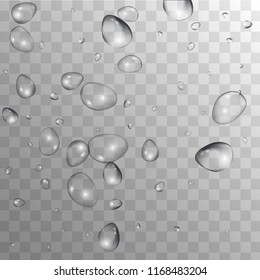 Rain Drops on Transparent Background. Realistic Water Drops for Your Design. Condensation on Glass with many Clean Droplet. Background for Cosmetic  Vector illustration. 