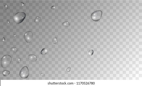 Rain Drops on Transparent Background. Cool Water Drops for Your Design. Condensation on Glass with many Fresh Droplet. Beauty Background.  Vector illustration. 