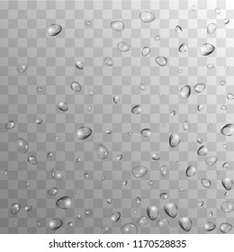 Rain Drops on Transparent Background. Realistic Water Drops for Your Design. Condensation on Glass with many Clean Droplet. Dew Drop Background. Vector illustration. 