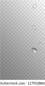 Rain Drops on Transparent Background. Cool Water Drops for Your Design. Condensation on Glass with many Fresh Droplet. Dew Drop Background. Vector illustration. 