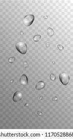 Rain Drops on Transparent Background. Realistic Water Drops for Your Design. Condensation on Glass with many Fresh Droplet. Dew Backdrop. Vector illustration. 