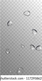 Rain Drops on Transparent Background. Realistic Water Drops for Your Design. Condensation on Glass with many Fresh Droplet. Beauty Background.  Vector illustration. 
