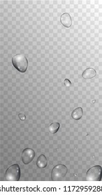 Rain Drops on Transparent Background. Realistic Water Drops for Your Design. Condensation on Glass with many Clean Droplet. Dew Drop Background. Vector illustration. 