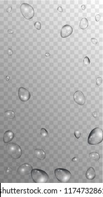 Rain Drops on Transparent Background. Cool Water Drops for Your Design. Condensation on Glass with many Fresh Droplet. Beauty Background.  Vector illustration. 