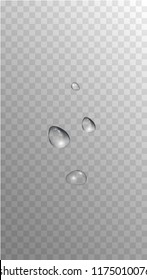 Rain Drops on Transparent Background. Beautiful Water Drops for Your Design. Condensation on Glass with many Fresh Droplet. Dew Backdrop. Vector illustration. 