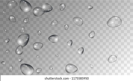 Rain Drops on Transparent Background. Realistic Water Drops for Your Design. Condensation on Glass with many Fresh Droplet. Background for Cosmetic  Vector illustration. 