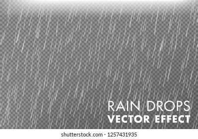 Rain drops on the transparent background - Vector effect 2