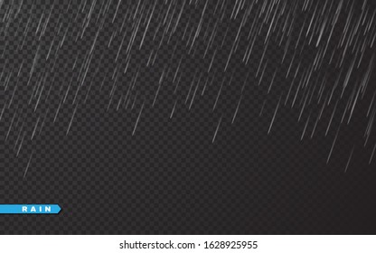 Rain drops on transparent background. Falling water drops. Nature rainfall. Vector illustration.