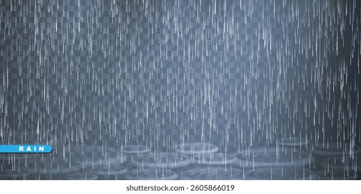 Rain drops on transparent background. Falling water drops. Nature rainfall. Vector illustration.
