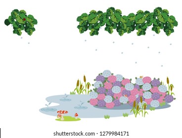 Rain falling in the pond.
Illustration of the rainy season.
Creatures on the borderline.