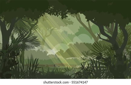 RAIN FOREST