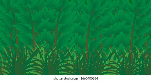 Rain forest background showing dense forest showing trees and grasses. Vector illustration.