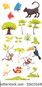 Rain forest jungle inhabitants flora fauna insects collection with alligator cobra snake butterflies monkeys isolated vector illustration 