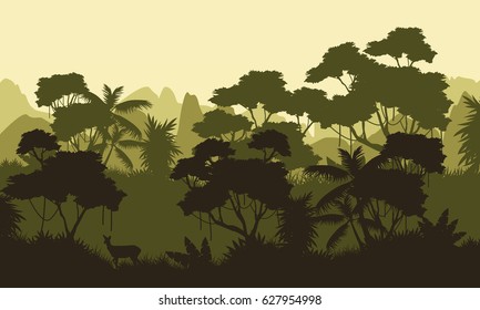 Rain forest scenery with tree silhouette