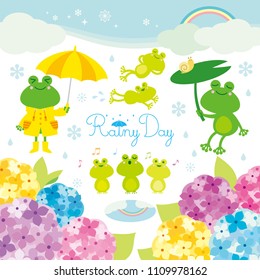 Rain frogs and hydrangea illustration 