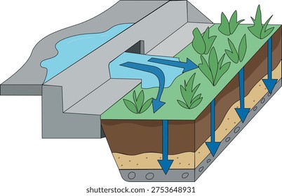 Rain Garden Cross Section Diagram for Storm water Management and Green Infrastructure