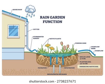 Rain garden function shows gutter runoff filtering through soil to recharge groundwater, key, downspout, native plants, soil layers. Outline diagram