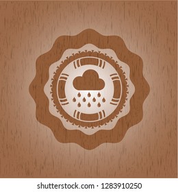 rain icon inside vintage wooden emblem