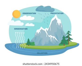 Rain infographics concept. Collection, condensation and precepitation processes in nature. Educational material for schoolers. Cartoon flat vector illustration isolated on white background