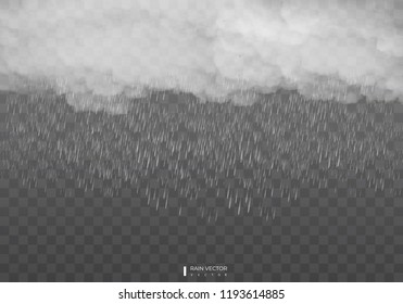 Rain isolated on transparent background. Vector EPS10