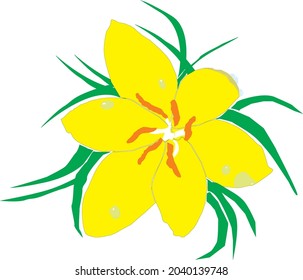Rain lily with rain drop. Vector art.