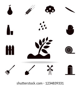 rain on a plant icon. Farm icons universal set for web and mobile