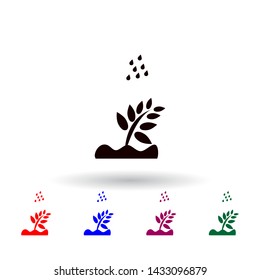 rain on a plant multi color icon. Elements of farm set. Simple icon for websites, web design, mobile app, info graphics
