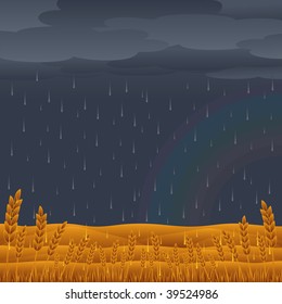 Rain Storm over Wheat Field.