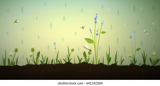 rain in the summer garden, vector