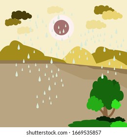 Rain that is falling in the dry forest