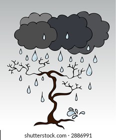 rain tree water plant tree vegetation nature land jungle rain landscape forest vine season earth sky cloud trees wet clouds scenery cold dead drop fizz sphere illustrations seasons droplets vectors dr
