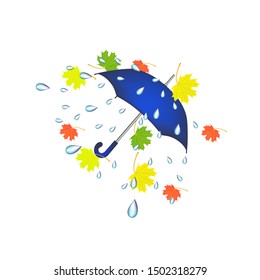 Rain umbrella and autumn leaves