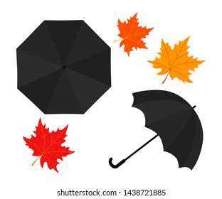 Rain umbrella and autumn leaves on white background. Vector illustration