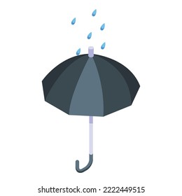 Rain Umbrella Protect Icon Isometric Vector. Rain Protection. Modern Insurance