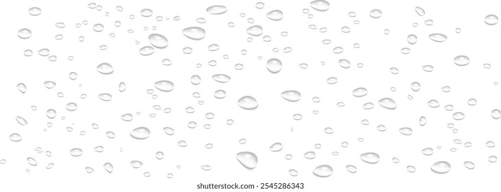 Rain water drops falling on transparent background. Wet, clear surface with bubbles on the surface. Realistic clear water, water drops for creative banner design