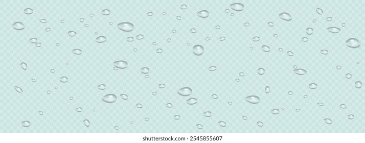 Rain water drops falling on transparent background. Wet, clear surface with bubbles on the surface. Realistic clear water, water drops for creative banner design