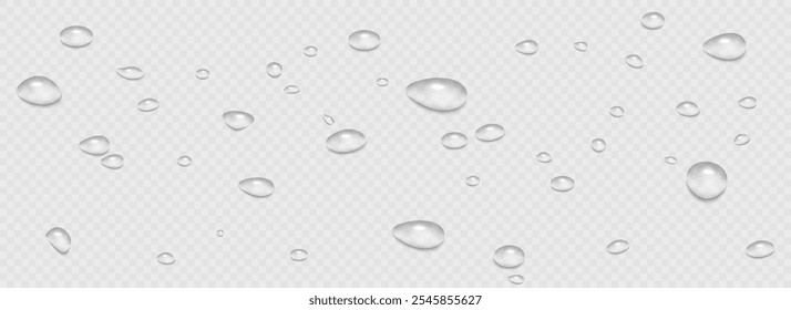 Rain water drops falling on transparent background. Wet, clear surface with bubbles on the surface. Realistic clear water, water drops for creative banner design