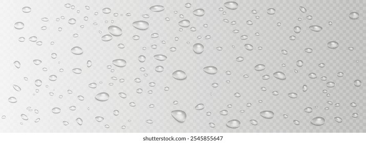 Rain water drops falling on transparent background. Wet, clear surface with bubbles on the surface. Realistic clear water, water drops for creative banner design