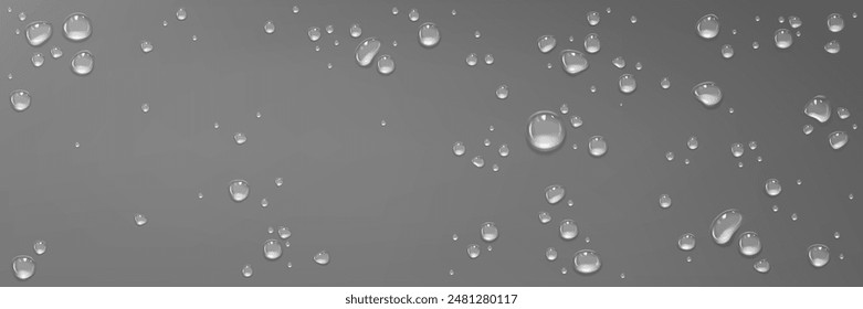 Rain water drops on grey glass surface. Realistic 3d vector illustration of smooth top with transparent droplet. Wet background with spray liquid bubbles. Scattered and spritz splash raindrops.