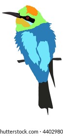 Rainbow Bee-eater