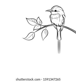 Rainbow bee-eater on branch. Line drawing. Vector illustration.