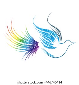 The rainbow bird logo vector on white background. Bird icon