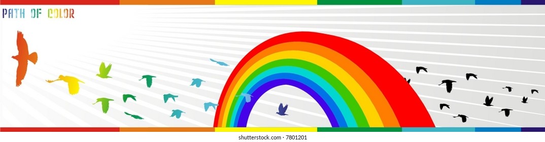 rainbow and birds abstract vector composition