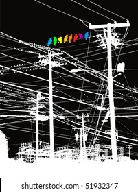 A rainbow of birds on a wire vector background