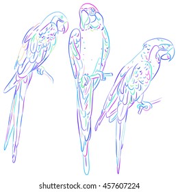 Rainbow blue macaw set sketch isolated on white background. Vector
