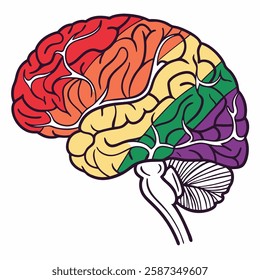 Rainbow brain illustration: vibrant, detailed artwork depicting a human brain segmented in LGBTQ+ pride colors.  Perfect for educational materials, LGBTQ+ advocacy.