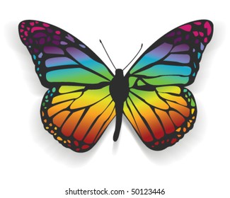 Rainbow Butterfly