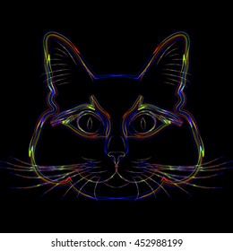 Rainbow cat. The fat content of the rainbow cat
